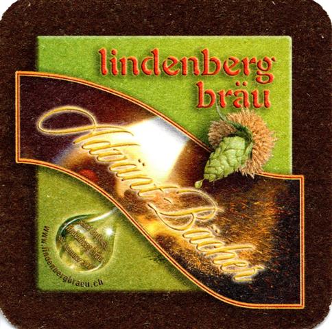 buttwil ag-ch lindenberg quad 1a (185-adv�nt b�cher)
